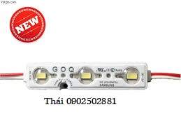 thai0902502881